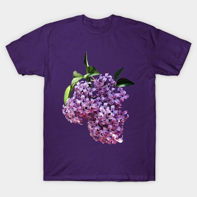 Lilacs - Delicate Pink Lilacs T-Shirt by SusanSavad